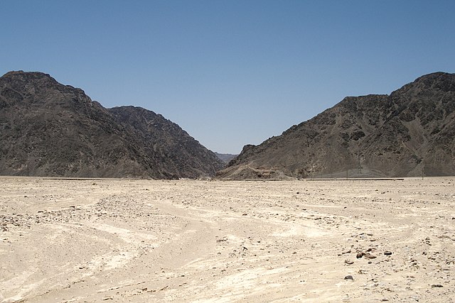 ¿Se puede desertificar un desierto?